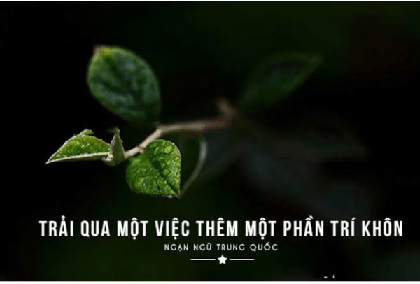 Thơ Hay Về Công Việc: Cảm Hứng Và Lòng Kiên Trì Gallery 2