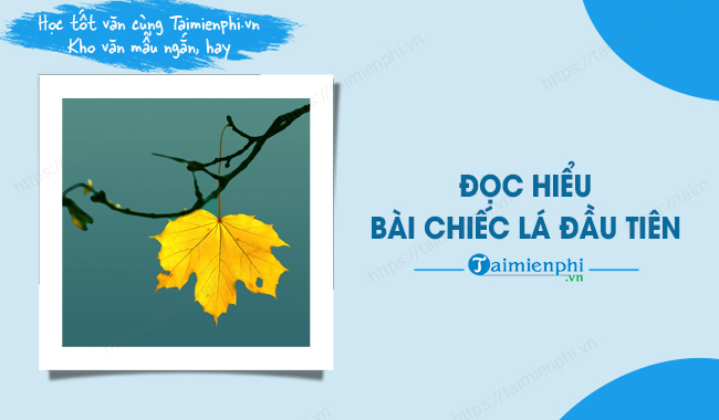 Chiếc Lá Đầu Tiên Đọc Hiểu Gallery 2