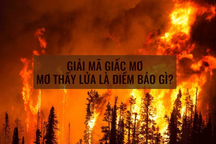 Chiêm Bao Thấy Lửa Cháy: Điềm Báo Gì?