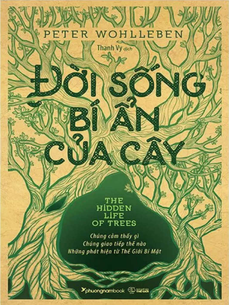 Đời sống bí ẩn của cây Gallery 2
