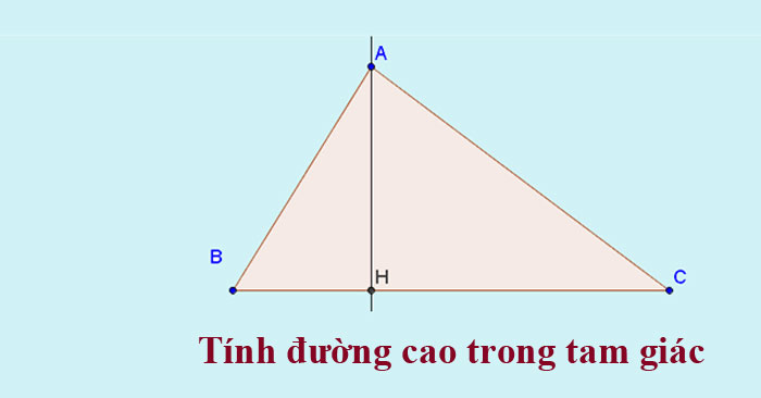 Chiều Cao Hình Tam Giác Gallery 2