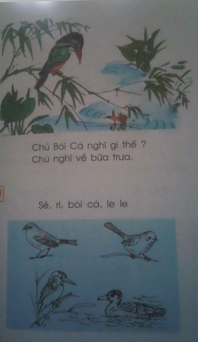 Chim Bói Cá Tập 8: Câu Chuyện Cảm Động Về Tình Bạn Và Sự Hy Sinh