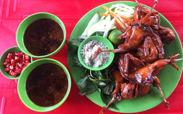 Chim Cút Cô Năm: Nguồn Gốc, Đặc Điểm Và Cách Nuôi