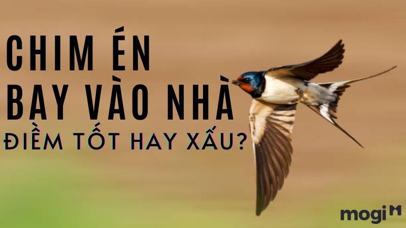 Chim Én Số Mấy?