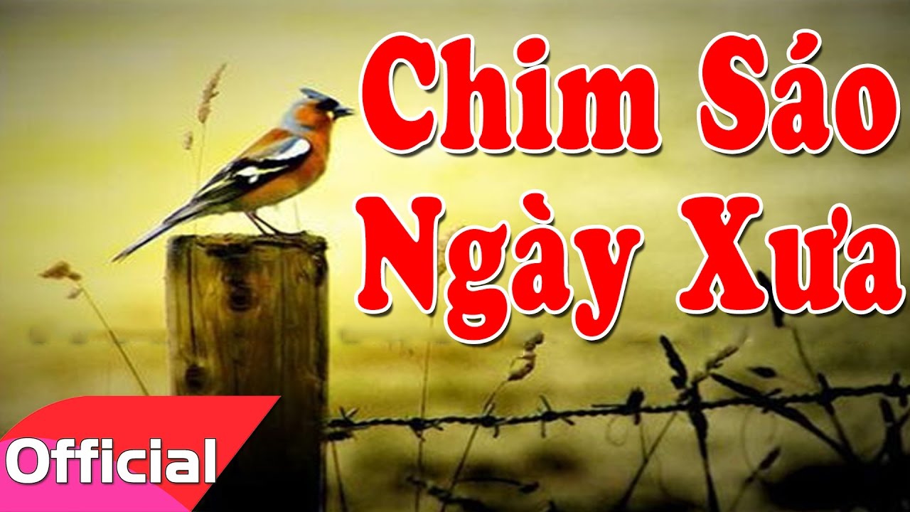 Chim Sao Ngày Xưa