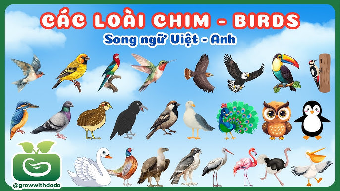 Tên Tất Cả Các Con Vật Tiếng Việt Gallery 2