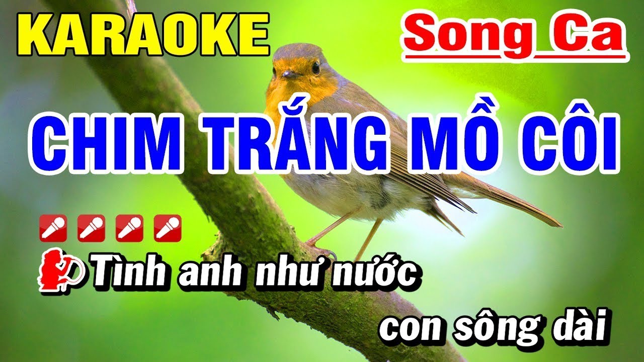 Chim Trắng Mồ Côi Song Ca