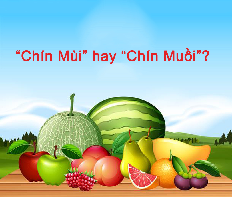 Chín muồi hay chín mùi?