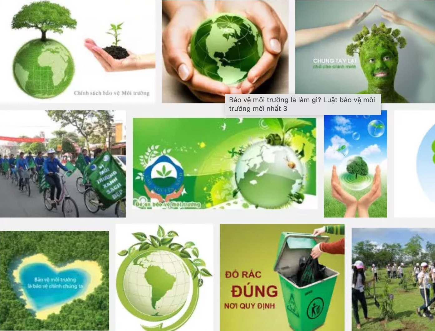 Việt Nam đã làm gì để bảo vệ môi trường? Gallery 1