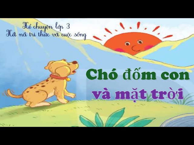 Chó Đốm Và Mặt Trời: Sự Kết Hợp Tuyệt Vời Gallery 1