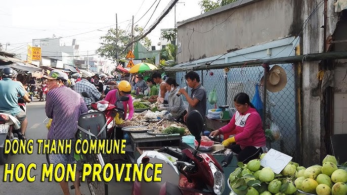 Chợ Gấu Hóc Môn - Thông tin chi tiết, giờ mở cửa và hướng dẫn đường đi