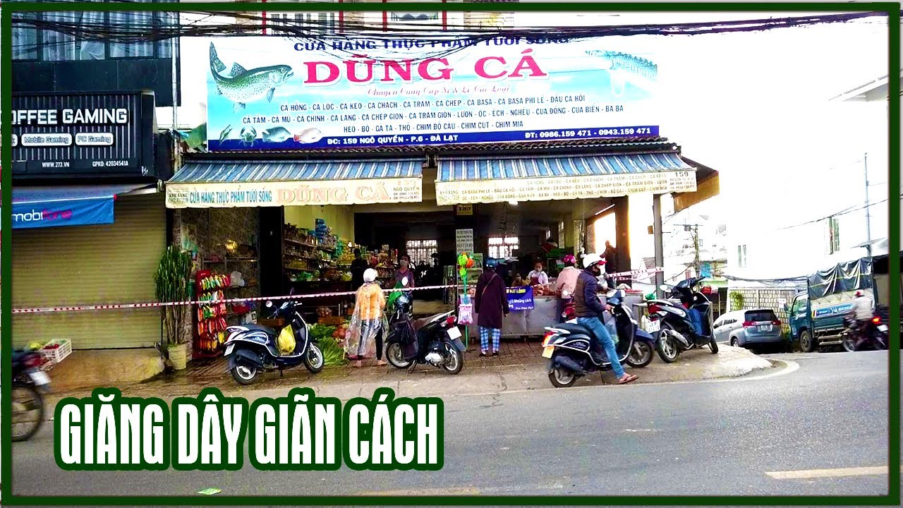 Chợ Số 4 Đà Lạt: Hướng dẫn chi tiết, kinh nghiệm mua sắm và những điều cần biết