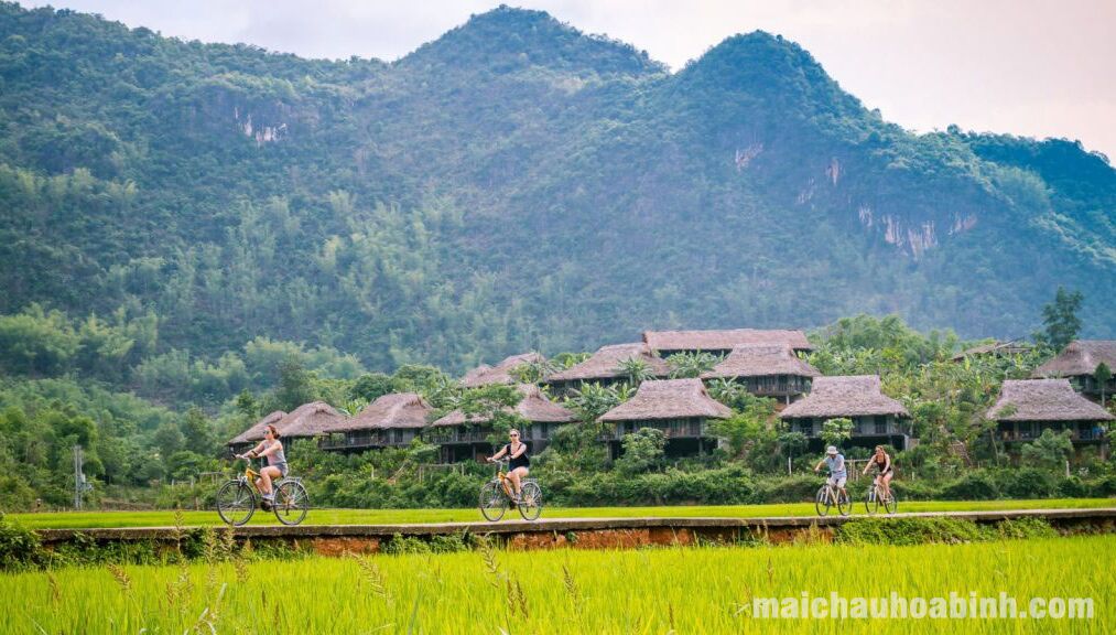 Chơi Gì Ở Mai Châu?