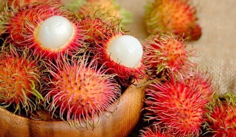 Chôm chôm có tác dụng gì?