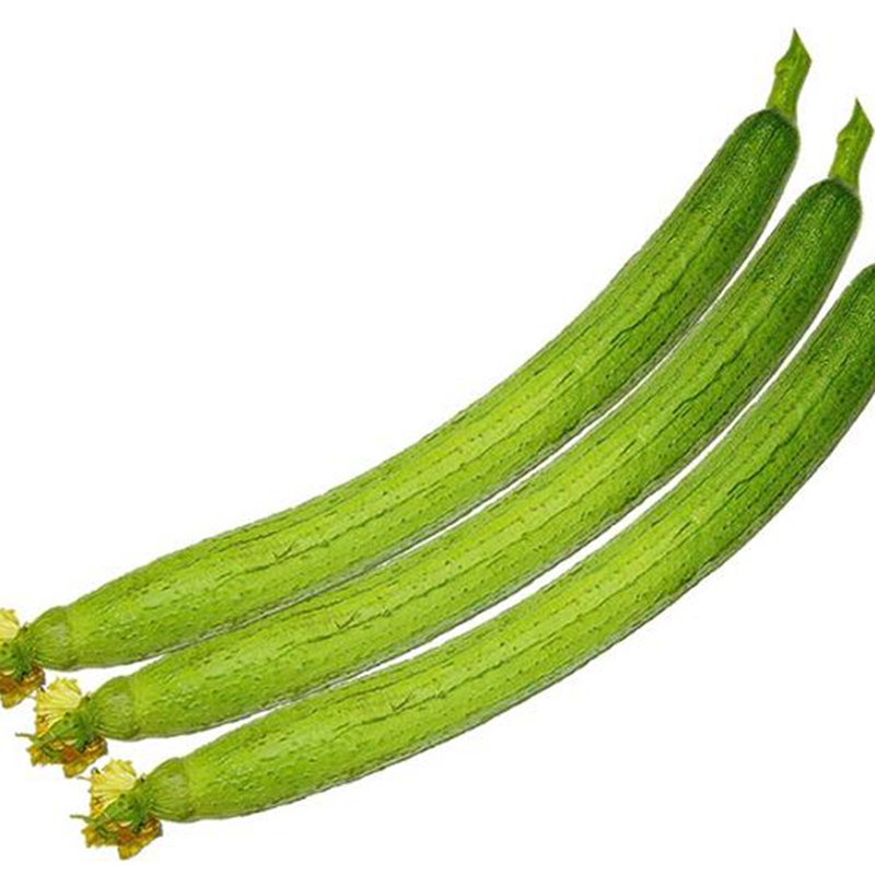 Mướp Hương Siêu Dài: Bí Quyết Trồng Trọt Và Chăm Sóc Để Có Được Những Quả Mướp Dài Ngoạn Mục Gallery 1