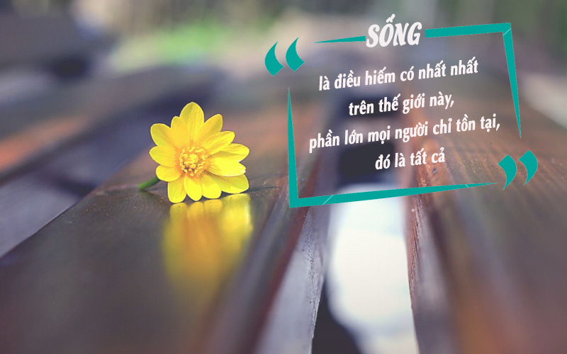 Những Trâm Ngôn Cuộc Sống Hay và Ý Nghĩa Nhất Gallery 1