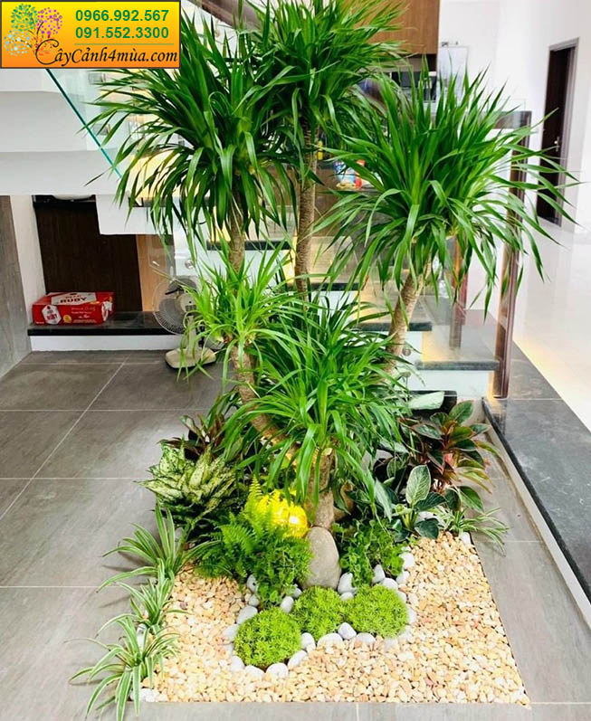 Góc Sân Vườn Đẹp: Bí Quyết Tạo Không Gian Xanh Thoáng Mát Gallery 2