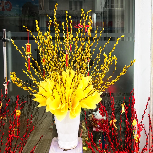 Nụ Tầm Xuân Chưng Tết: Hướng Dẫn Chọn và Chăm Sóc Gallery 1
