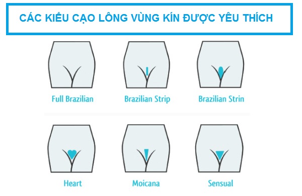 Cách Tỉa Lông Vùng Kín Nữ Gallery 2
