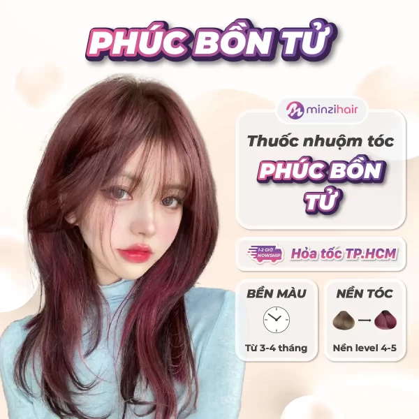 Công Thức Nhuộm Màu Phúc Bồn Tử Gallery 1