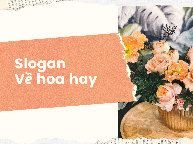Slogan về Hoa: Những Câu Slogan Hay và Ý Nghĩa Nhất Gallery 1