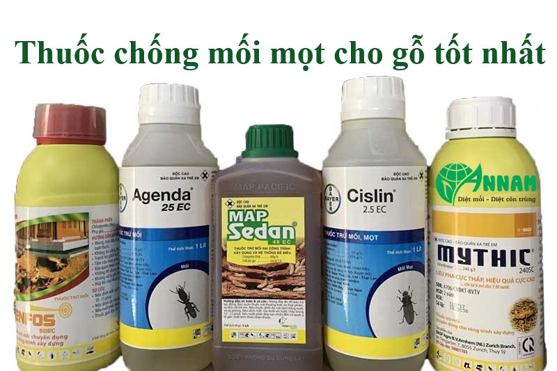 Xử lý mọt gỗ hiệu quả, triệt để Gallery 2