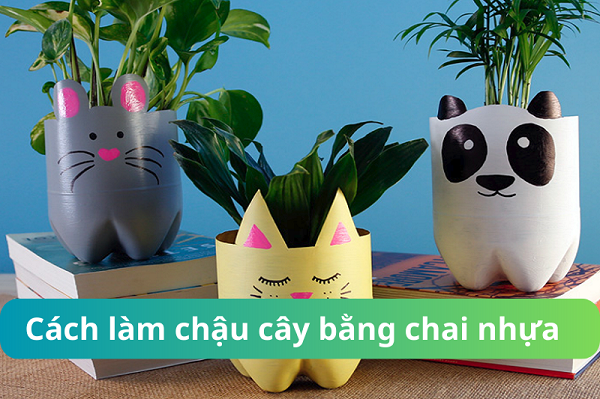 Cách Làm Chậu Cây Đơn Giản, Đẹp Mắt Tại Nhà Gallery 1