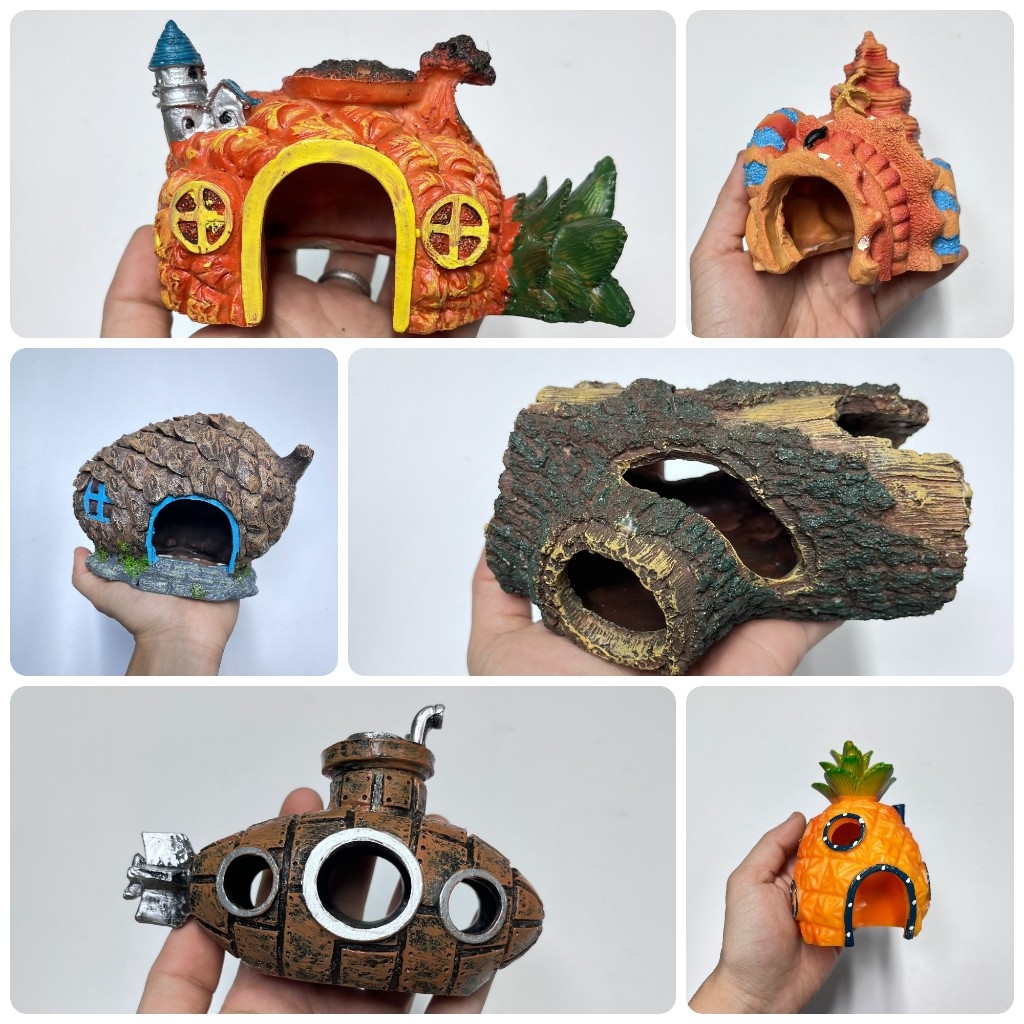 Cách Làm Nhà Cho Ốc Mượn Hồn Gallery 1