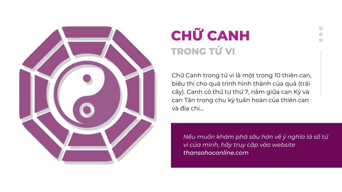 Canh trong Canh Ngọ là gì? Gallery 2