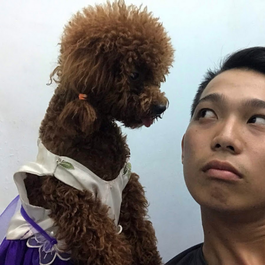 Chó Đi Hai Chân: Nguyên Nhân, Ảnh Hưởng và Cách Xử Lý
