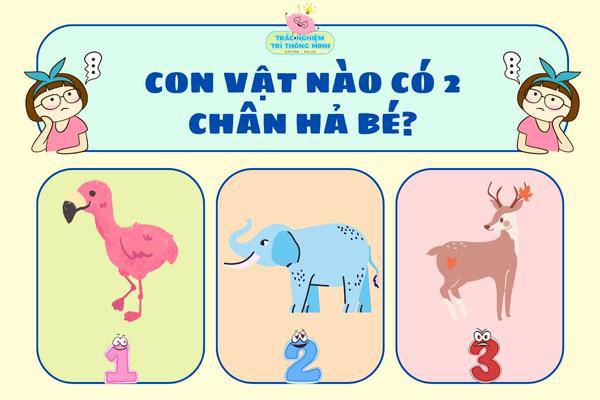 Câu Hỏi Trắc Nghiệm Cho Trẻ 5-6 Tuổi Gallery 1
