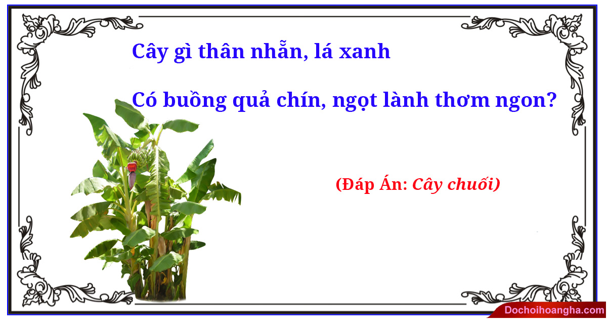 300 Câu Đố Cho Trẻ Tiểu Học Gallery 2