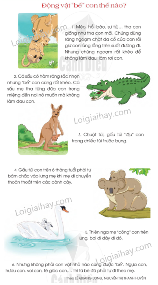 Bài tập đọc lớp 2: Tổng hợp các bài đọc hay và bổ ích Gallery 1