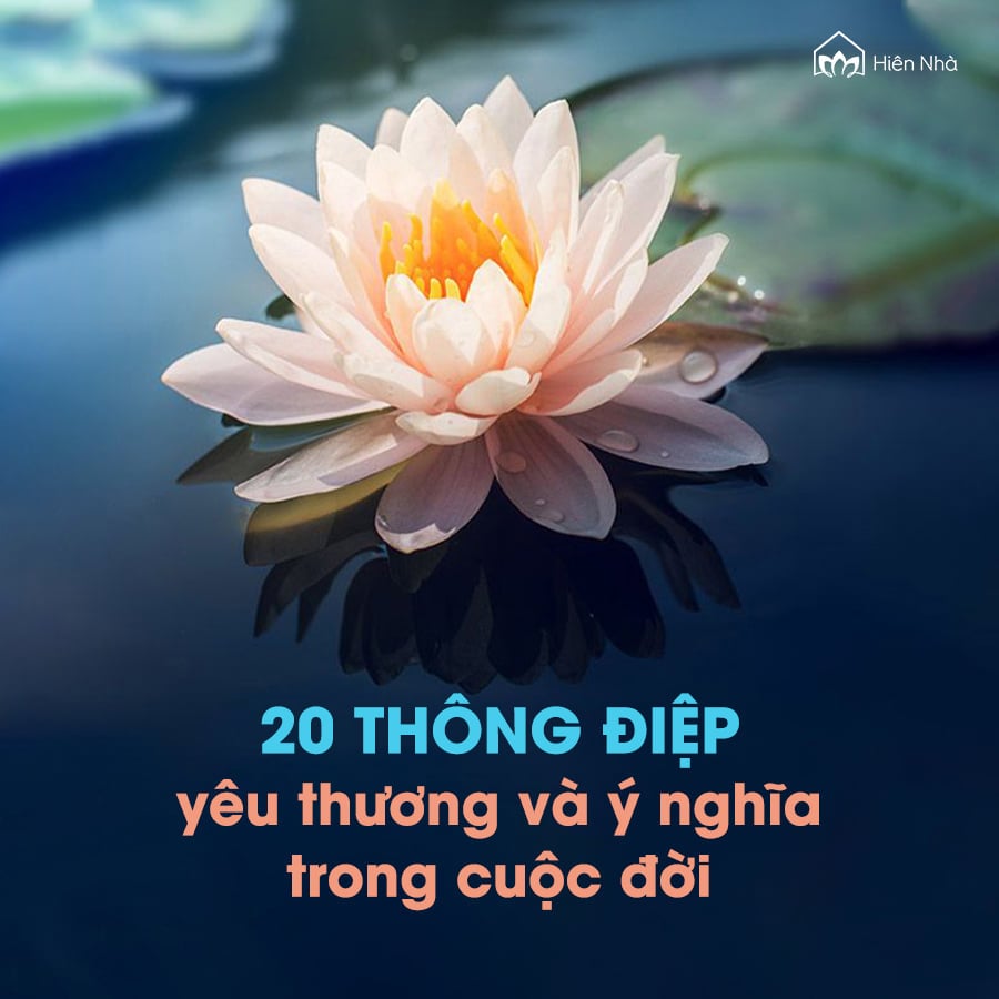 Những Câu Nói Hay Về Cuộc Đời: Triết Lý Sống Ý Nghĩa Gallery 2