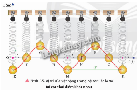 Chu Kỳ Dao Động Điều Hòa