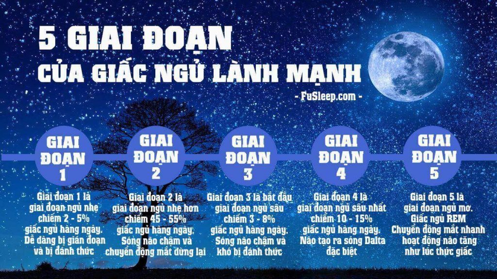 Chu Ngủ Là Gì? Gallery 2