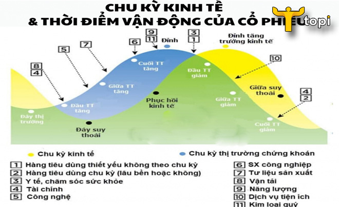Tổng hợp chu kỳ đặc biệt Gallery 2