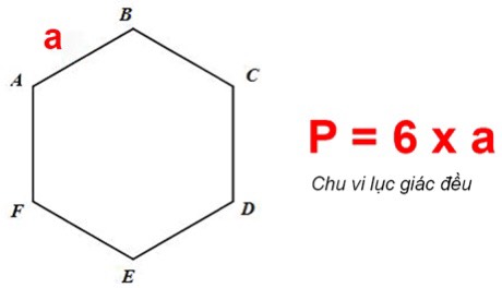Chu vi và diện tích hình lục giác đều