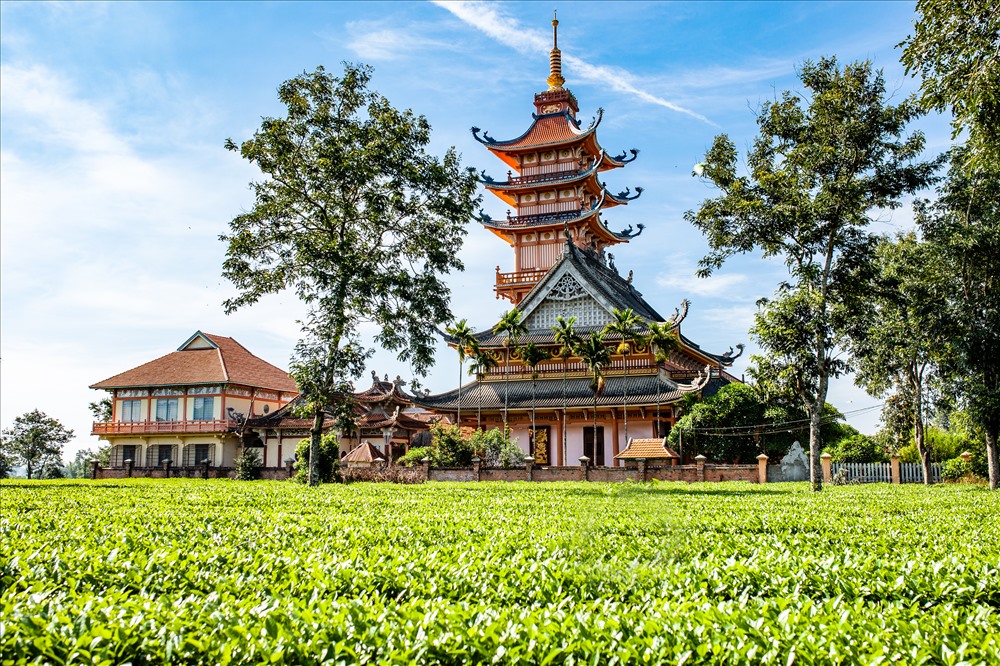 Chùa Bửu Minh Gia Lai - Ngôi Chùa Thiêng Liêng Ở Tây Nguyên