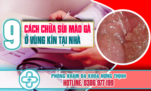 Chua Sủi Mào Gà: Công Thức Và Bí Quyết Ngon Tuyệt