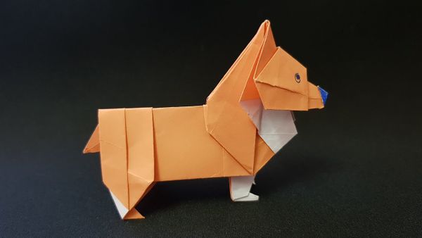 Cách Gấp Con Chó Gallery 1