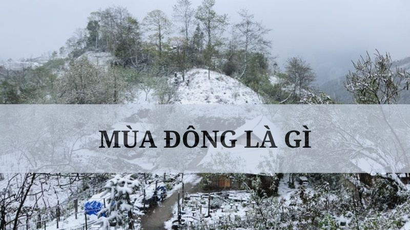Mấy tháng nữa đến mùa đông? Gallery 2
