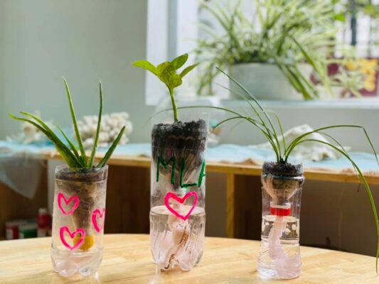 Cách Làm Bình Tưới Cây Bằng Chai Nhựa Gallery 1