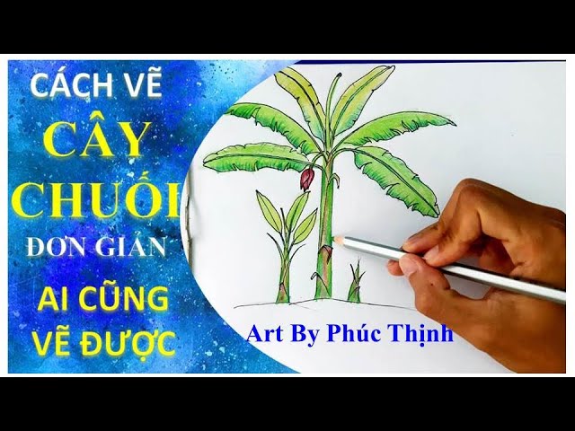 Cách Vẽ Cây Chuối Gallery 1