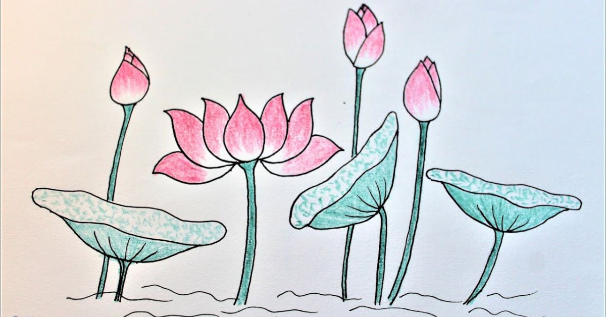 Cách Vẽ Đầm Sen Gallery 1