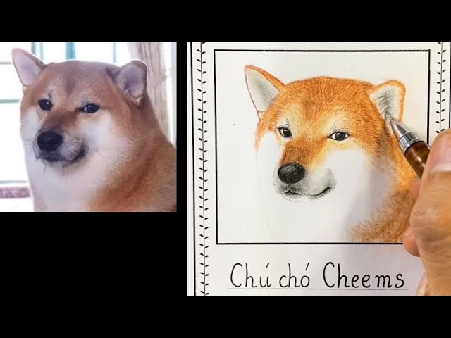 Vẽ Cheems dễ thương: Hướng dẫn chi tiết từng bước Gallery 1