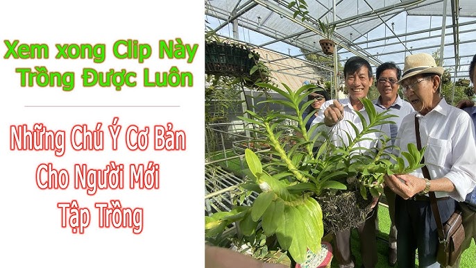 Quy trình chăm sóc lan mới nhất của thầy Tám Ngọc Gallery 1