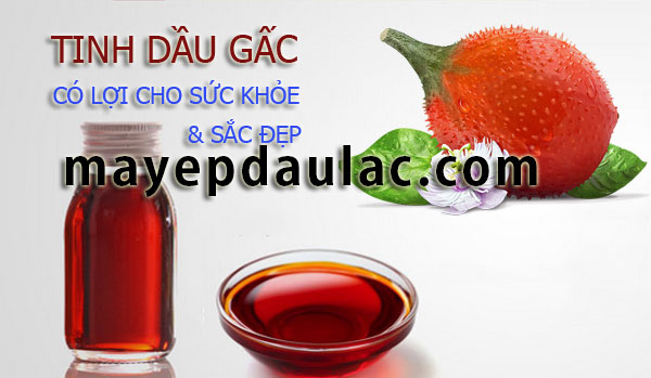 Cách Làm Tinh Dầu Gấc Gallery 1