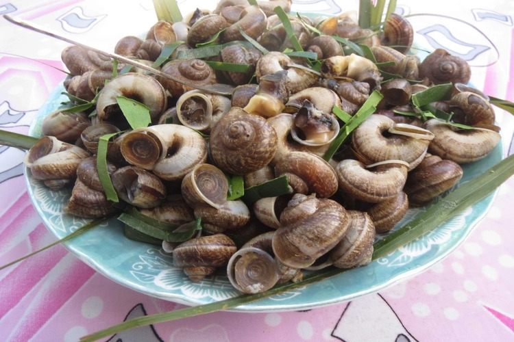 Cách Luộc Ốc Núi Ngon Đơn Giản, Chuẩn Vị Gallery 1