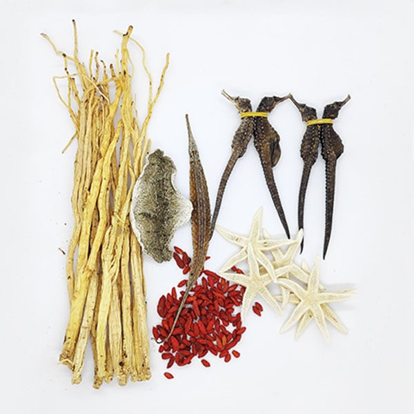 Cách Ngâm Cá Ngựa Tươi Hiệu Quả Nhất Gallery 1